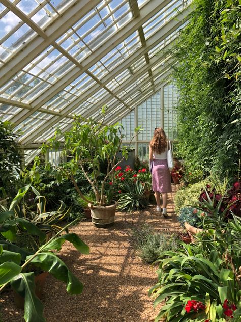 pretty greenhouse Greenhouse Astethic, Fantasy Greenhouse, Pretty Greenhouse, Huge Greenhouse, Floral Greenhouse, Luxury Greenhouse, Aesthetic Greenhouse, Vintage Greenhouse, Greenhouse Photography