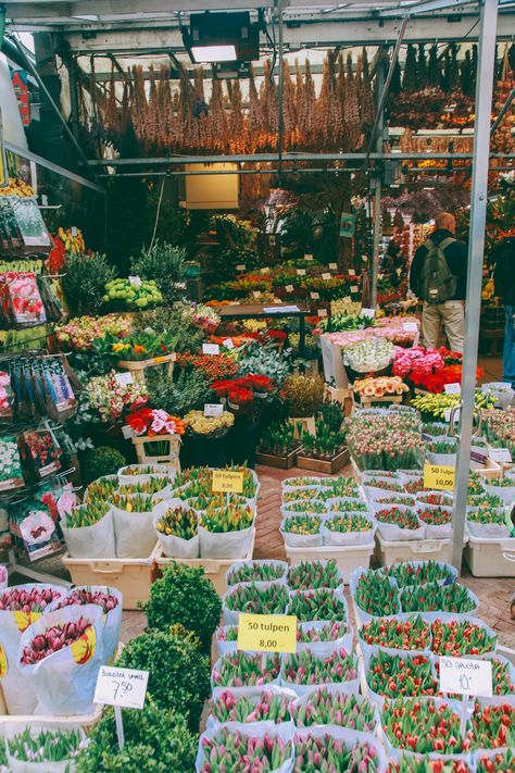 Amsterdam Flower Market, Colour Aesthetic, Floating Flower, Floating Flowers, Most Beautiful Flowers, Seating Plan, Travel Europe, Flower Market, Travel Bucket