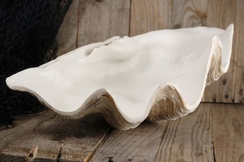 Large Clam Shell, Giant Clam Shell, Giant Clam, Nautical Room, Shell Bowl, She Sells Seashells, Beachy Decor, Tiki Party, Shell Beach