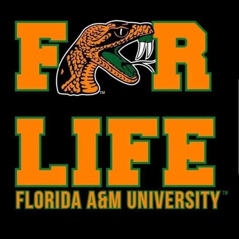 Famu College, Trunk Party Ideas College, Dream University, Trunk Party, College Vision Board, Sublimation Ideas Projects Inspiration, Sublimation Ideas, Dream College, Prayer Board