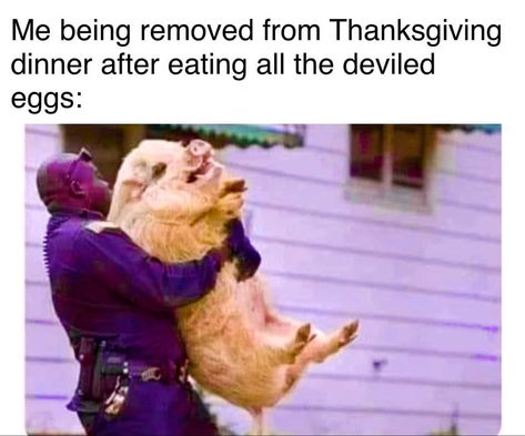 Thanksgiving Humor Hilarious, Thanksgiving Humor Hilarious Laughing, Thanksgiving Meme, Thanksgiving Humor, Make Em Laugh, Humor Hilarious, Memes Hilarious, Funny As Hell, Holiday Humor