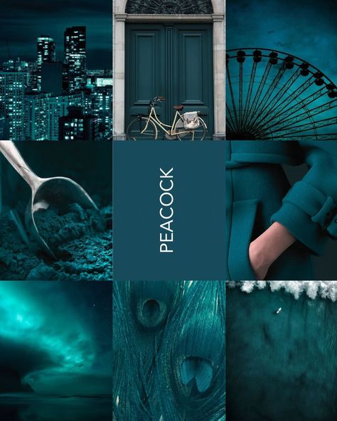 🌿✨ Dive into the depths of Peacock! This rich, vibrant hue is stealing the spotlight in my latest mood board, capturing the essence of elegance and modernity. 🖤💙 Discover how to incorporate this stunning colour into your home by blending 2025’s decor trends with your unique style. Check out my new blog post, “Interior Design Trends: Blending 2025 Decor Style with Your Existing Aesthetic,” for insights and inspiration. Link in bio! 🏡🔗 #PeacockVibes #InteriorDesign #2025Trends #HomeDecor Peacock Blue Wall Paint, Peacock Paint Colors, Peacock Blue Paint, Peacock Painting, New Blog Post, Decor Trends, Paint Colors For Home, Paint Ideas, Peacock Blue