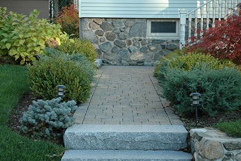 Native Landscaping, Canadian Hemlock, Coastal Landscaping, Oakleaf Hydrangea, Missouri Botanical Garden, Planting Hydrangeas, Landscape Services, Home Landscaping, Landscaping Tips