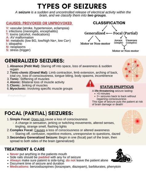 Types Of Seizures, Medical Terminology Study, Neurological System, Nursing School Essential, Studying Medicine, Nursing School Motivation, Nurse Study Notes, Nursing Student Tips, Medical Videos