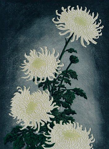 The Visual Vamp — iamjapanese: Carl Thiemann（Bohemian, 1881-1966） ... Chrysanthemum Painting, Japanese Chrysanthemum, Chrysanthemum Tattoo, White Chrysanthemum, Relief Printing, Woodcuts Prints, Flower Art Painting, Black And Grey Tattoos, Painting Illustration