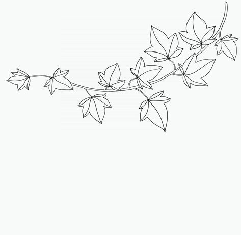 Einfachheit Efeu Freihand zeichnen flaches Design. Ivy Line Drawing, Ivy Tattoo Ribs, Ivy Leaves Drawing, Ivy Leaf Drawing, Ivy Leaf Tattoo, Ivy Tattoo Design, Ivy Sketch, Ivy Drawing, Ivy Embroidery