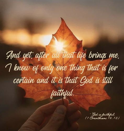 Fall Encouragement Quotes, Fall Christian Quotes, Thanksgiving Poems, Blessings Quotes, Autumn Blessings, Weekday Quotes, Bible Study Verses, Morning Greetings Quotes, Prayer Verses