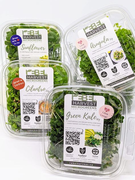 Vegetable Packaging Ideas, Microgreens Packaging Ideas, Microgreen Packaging, Microgreens Packaging, Fresh Food Packaging, Food Delivery Packaging, Microgreens Recipe, Salad Packaging, Food Engineering