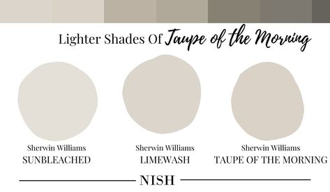 Sherwin Williams Taupe of the Morning SW 9590 Review - NISH Sherwin Williams Taupe, Taupe Of The Morning, Sherwin Williams Drift Of Mist, Sherwin Williams Greige, Accessible Beige Sherwin Williams, Drift Of Mist, Interior House Paint Colors, Neutral Interior Paint Colors, Taupe Paint Colors