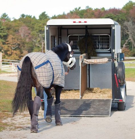 long distance travel with horse. Horse Traveling Gear, Farm Pets, Horse Travel, Horse Transport, Traveling Lifestyle, Equestrian Problems, Horse Training Tips, Travel Documents, Barrel Horse