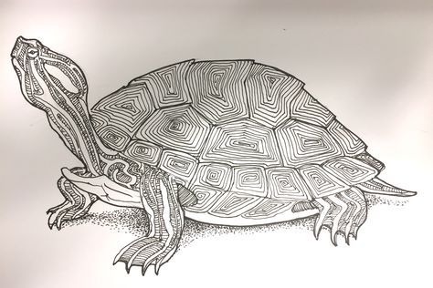 Terrapin patterns Turtle Ink Drawing, Terrapin Tattoo, River Mural, Turtle Sketch, Woodland Painting, Shell Tattoos, Turtle Rock, Turtle Drawing, Turtle Tattoo