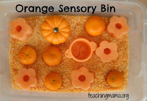 Toddler Tuesday: Orange Sensory Bin. Repinned by @Progressus Therapy. Follow our boards for more tips, activities, and inspiration. Dental Activities, Toddler Stem, Sensory Play Ideas, Fall Lesson Plans, Teaching Mama, Dental Health Month, Color Of The Week, Learn Through Play, Fall Preschool Activities