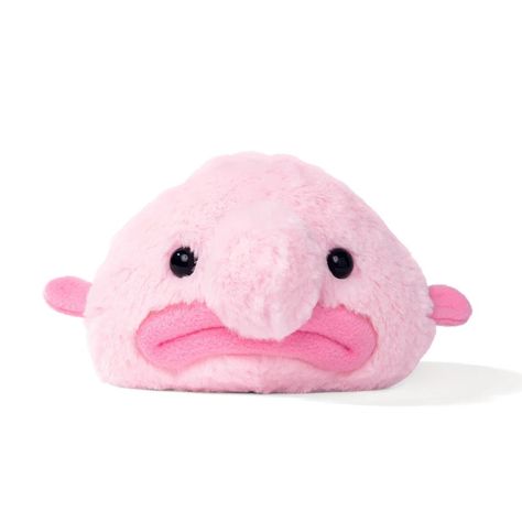 All Products| Planet Microbe Ugliest Animal, Blob Fish, Mini 8, Good Listener, Fish