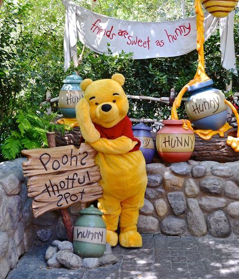 Disney Magical, Pooh Corner, Disney Parque, Disney Photo Ideas, Disney World Characters, Disney Paris, Disney Ideas, Pooh Quotes, Disney Side