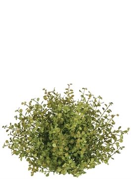 Refresh Your Home, Patio And Garden, Vase Fillers, Green Baby, Gracie Oaks, Artificial Plants, 7 H, Spice Up, Decorative Objects