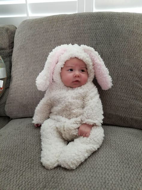 Baby Bunny Costume, Newborn Halloween Costumes, Bunny Halloween Costume, Newborn Halloween, Hello Kitty Baby, Purple Elephant, Kids Around The World, Bunny Costume, Baby Coat