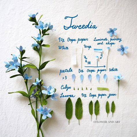 Tweedia🌿 The flower Blue Star is often seen at the flower shop around this time of the year. Its name has ‘star’ in it because it has… | Instagram Crepe Paper Flower Bouquet, Crepe Flowers, Paper Flower Art, Fleurs Diy, Origami Patterns, Flower Bouquet Diy, Paper Plants, Paper Flower Crafts, Seni Origami