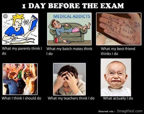 Other than "what my best friend thinks I do", pretty accurate. Well, not perceptions  people  have of me. These are literally the stages I go through in the 24hrs before exam week. Day Before Exam Funny, Before Exam Funny, Day Before Exam, Exam Funny, Before Exam, Exams Memes, Doctor Jokes, Hospital Humor, Exams Funny