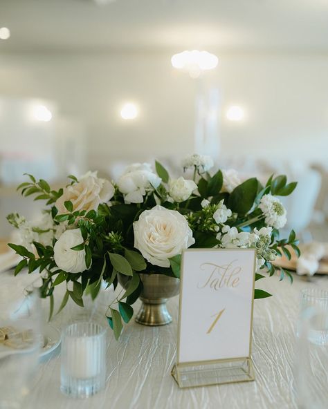 classic white & green beauty for Ben & Brooke at Ashton Gardens!!🕯️ Ashton Gardens, Green Beauty, Classic White, White Green, Flowers, Green, White, Quick Saves, Beauty