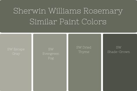 Rosemary by Sherwin Williams is a captivating green paint color that adds a touch of elegance and tranquility to any space. With its muted green tones and subtle gray undertones, Rosemary offers a sophisticated and versatile option for both interior and exterior settings. Rosemary By Sherwin Williams, Sherwin Williams Dried Thyme Exterior, Sherwin Williams Rosemary Cabinets, Silvermist Sherwin Williams, Sherwin Williams Shade Grown, Green Cabinet Paint Colors, Rosemary Paint, Sherwin Williams Rosemary, Green Exterior Paints