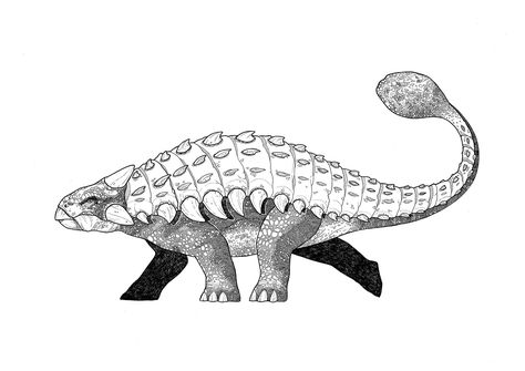 ankylosaurus coloring pages to print, the pic you could find at Dinosaur coloring pages articles #coloring #coloringpages #printable Ankylosaurus Tattoo, Dino Drawing, Dinosaur Tattoo, Dinosaur Tattoos, Pen Illustration, Fineliner Pens, Dinosaur Coloring Pages, Dinosaur Coloring, Coloring Pages To Print