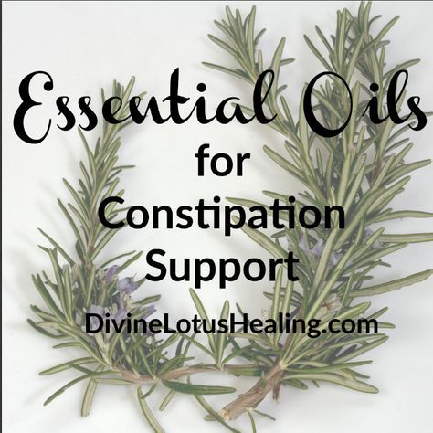 Essential Oils for Constipation Support Constipation is a condition characterized by infrequent or difficult bowel movements. A person is considered constipated if he or she has fewer than three bowel movements a week or if the stools are hard and Essential Oils For Constipation, Oil For Constipation, Colon Cleansing, Essential Oils For Pain, Healing Essential Oils, Oil Remedies, Young Living Oils, Doterra Oils, Colon Cleanse