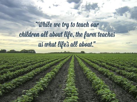 “While we try to teach our children all about life, the farm teaches us what life’s all about.”  #inspiration #quotes #motivation Family Farm Quotes, Quotes About Farm Life, Farm To Table Quotes, Quotes About Farming, Farm Kid Quotes, Farm Quotes Inspirational, Farm Quotes Agriculture, Cows Quotes, Farmer Quote