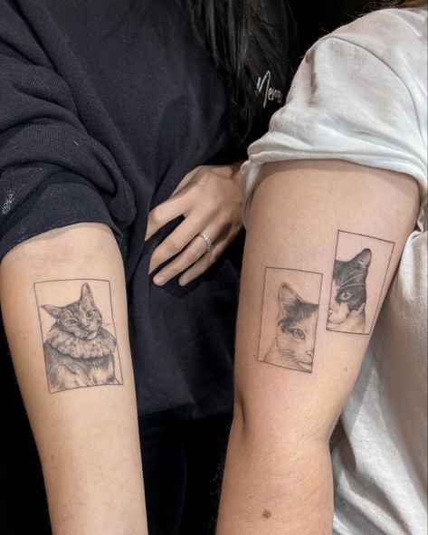 #tattooashe #nemezink #tattoo #cat #microrealism #microrealismotattoo #cattattoo #pet #pettattoo #tattooideas #tattooart inspiration Peru Tattoo, Microrealism Tattoo, Cats Tattoo, Tattoo Cat, Animal Tattoos, Tattoo You, Cat Tattoo, Cat Life, Tattoos And Piercings