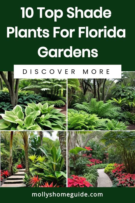 Discover the best shade plants for a vibrant Florida garden with this curated list that includes top picks such as colorful tropical flowers and lush ground cover plants. Create a stunning tropical paradise in your outdoor space using these perfect Florida perennials that thrive in shady conditions. Whether you're seeking flowers that bloom year-round or beautiful landscaping options, these shade plants are sure to elevate your garden with their beauty and versatility. Explore our selection of s Outdoor Tropical Plants Landscaping, Florida Shade Landscaping, Florida Shade Plants, Tropical Plants Outdoor Full Sun Florida, Florida Gardens Landscaping, Tropical Shade Garden, Tropical Plants Outdoor Zone 7, Tropical Shade Plants Florida, Tropical Landscaping Around Pool Zone 9