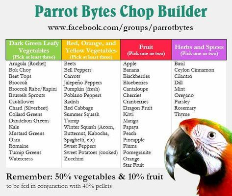 Use this handy guide to make your own chop recipes. Parrot Chop, Parrot Diet, Conure Parrots, Recipe Builder, Parrot Pet, Amazon Parrot, Parrot Cage, Bird Care, African Grey Parrot