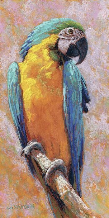 Blue Macaw Painting, Parrot Oil Painting, Parrot Acrylic Painting, Macaw Parrot Painting, Parrot Artwork, Macaw Painting, Animals And Pet Supplies, Desert King, Staircase Art