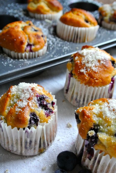 Blueberry Ricotta Muffins, Bluberry Muffins, Ricotta Recipes Dessert, Ricotta Dessert, Ricotta Muffins, Blueberry Ricotta, Breakfast Meat, Berry Muffins, Blueberry Muffins