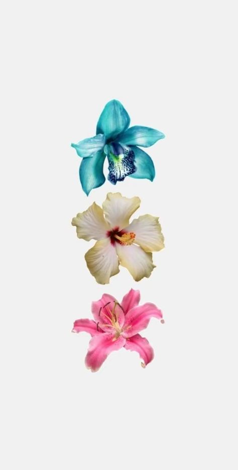 Plakat Design Inspiration, Beauty Iphone Wallpaper, Filmy Vintage, Cute Summer Wallpapers, Wallpaper Iphone Summer, Iphone Wallpaper Photos, Iphone Wallpaper Themes, Flower Therapy, Summer Wallpaper