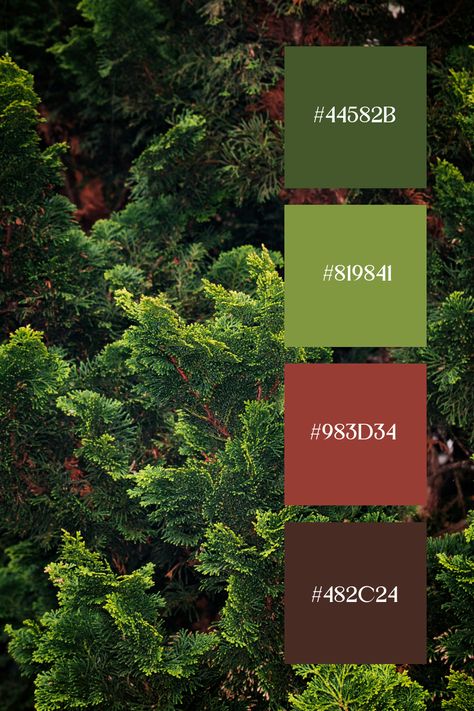 Brown and Green Color Palette: Dense greenery with a backdrop of brown bark, showcasing the vibrant hues of the leaves. The interplay of green and brown creates a deep, forest-like ambiance. Complementary Green Colors, Green Red Brown Color Palette, Forest Green Color Pallete, Color Palette Powerpoint, Green Complimentary Color Palette, Spring Forest Color Palette, Green Color Palette Combination, Color Palettes With Green, Green Complimentary Colors