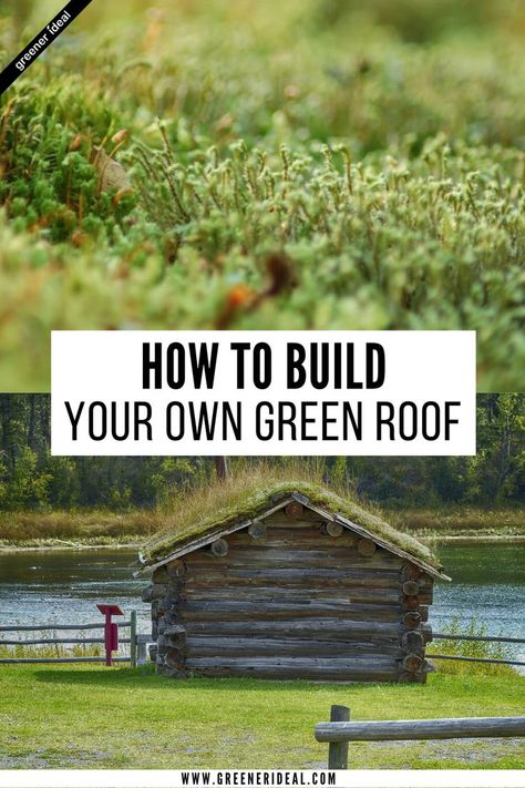 For people living in the urban area, green roofs are idea because it helps lower temperature and provide better insulation. Green roof also helps minimize the pollution in your area as plants absorb carbon for their food. Your green roof can also serve as storage for rainwater and provide a habitat for birds and animals. Learn all about Green Roofs and how to build one. #home #homeimprovement #roof #green #gogreen Sod Roof, Eco Roof, Living Green Roof, Natural Bug Repellent, Living Roofs, Roofing Diy, Shed Roof, Rooftop Garden, Food Garden