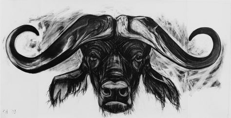 Water Buffalo Tattoo, Boxing Hares, Buffalo Tattoo, Mundo Hippie, Wire Animals, Buffalo Animal, Red Stag, African Buffalo, Bull Art