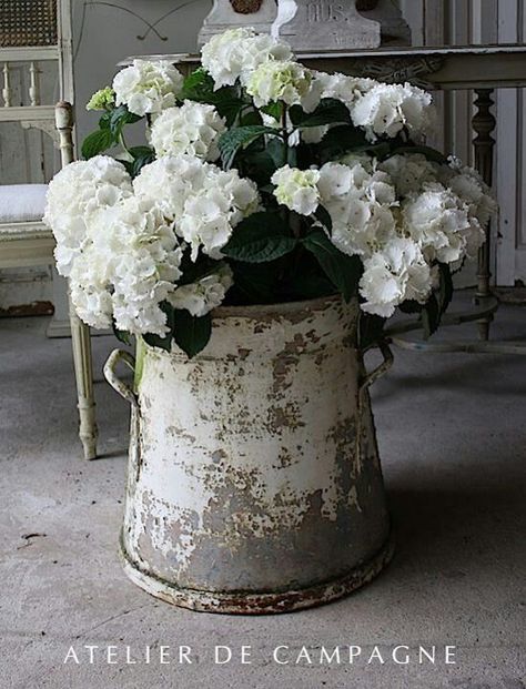 These hydrangeas look beautiful in this aged flower pail.  Atelier de Campagne always does such a great job with their displays. Shabby Chic Salon, Shabby Chic Living Room, Shabby Chic Crafts, Shabby Chic Kitchen, Deco Floral, White Hydrangea, Cool Ideas, French Decor, Shabby Chic Homes