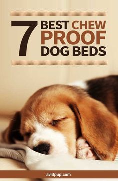 Wooden Dog Bed Diy, Dog Bed Pink, Chew Proof Dog Bed, Dog Life Hacks, Durable Dog Bed, Indestructable Dog Bed, Dog Crate Pads, Cute Dog Beds, Labrador Puppies