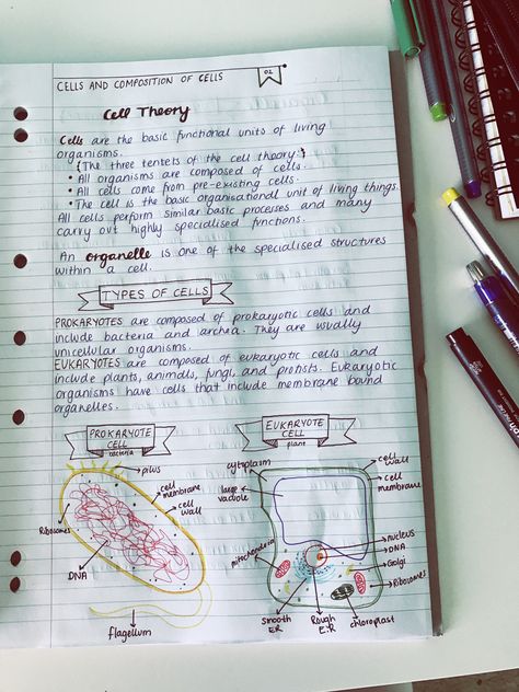 Cell Theory Notes Biology, Cell Theory Notes, Notes Biology, Cell Theory, T Cell, Biology Notes, Biochemistry, Biology, Bullet Journal