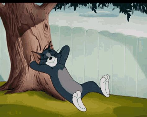 Tom And Jerry Gif, Tom The Cat, Sleeping Gif, Tom And Jerry Pictures, Minion Gif, Jerry Cartoon, Disney Toms, Tom And Jerry Cartoon, Funny Emoji Faces