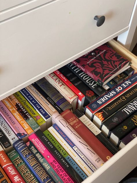 Books In Drawers, Rory Gilmore Book Aesthetic, Rory Gilmore Bookshelf, Rory Gilmore Reading Aesthetic, Rory Gilmore Aesthetic Room, Books Rory Gilmore Read, Rory Gilmore Room Aesthetic, Book Library Aesthetic, Rory Gilmore Lifestyle