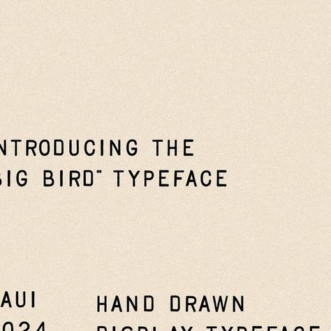 Taylor Penton on Instagram: "Yes the rumors are true: your favorite font is now one of your second favorites because Big Bird has entered the scene #typebyhand #mauihawaii #bytaylor" Taylor Penton, Favorite Fonts, Types Of Lettering, Food Illustration, Big Bird, Food Illustrations, The Scene, How To Draw Hands, On Instagram