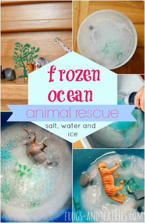 Frozen Animals In Ice, Ice Age Projects For Kids, Frozen Animals In Ice Activity, Frozen Toys In Ice Activity, Frozen Toys In Ice, Ice Age Activities For Kids, Ice Animals, Frozen Ocean, Animal Experiments