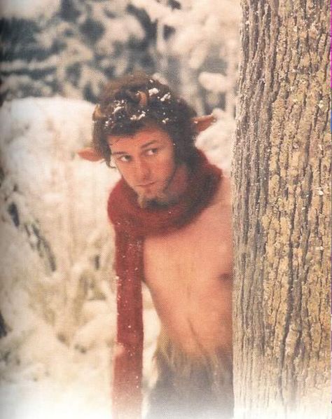 James Mcavoy Mr Tumnus Narnia, Tumnus Narnia, Mr Tumnus, State Of Play, Scottish Actors, Charles Xavier, English Men, Playlist Covers, James Mcavoy