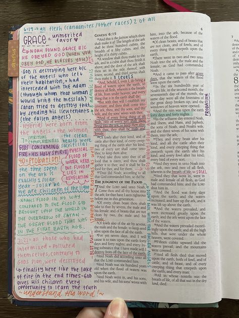 Genesis 6 Bible Journaling, Genesis Bible Journaling Notes, Bible Nerd, Genesis Bible Journaling, Legacy Bible, Genesis Bible Study, Bible Plans, She Reads Truth Bible, Handwriting Ideas