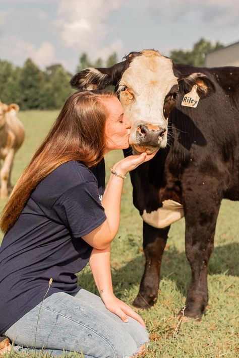 Farm Lifestyle Photography, Cow Photoshoot Picture Ideas, Animal Kindness, Cow Pics, Recreate Photos, Country Pictures, Miniature Cows, Animal Photoshoot, Soul Collage