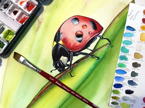 Maria Raczynska - Watercolors Ladybug Painting, Painting School, Ladybug Art, A Ladybug, Wave Painting, Insect Art, Online Painting, Butterfly Art, Watercolor Animals