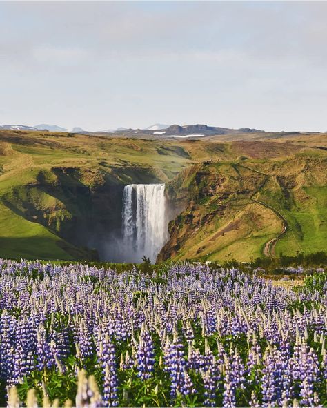 Iceland Cities, Hidden Waterfall, Seljalandsfoss Waterfall, Skogafoss Waterfall, South Iceland, Coastal Retreat, Black Sand Beach, Places In The World, Reykjavik