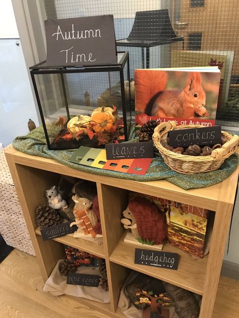 Seasons Provocations, Autumn Reception Activities, Autumn Curiosity Approach, Harvest Eyfs, Eyfs Autumn, Autumn Eyfs Activities, Curiosity Approach Eyfs, Autumn Eyfs, Year 1 Classroom