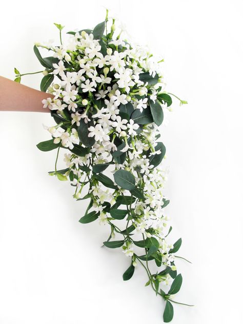 Stephanotis Bouquet, Keys Wedding, White Wedding Bouquets, Fall Wedding Bouquets, Champagne Wedding, Autumn Wedding, Wedding Florals, Bride Bouquets, Bridal Bouquets